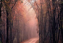 开云体育登录-塔斯马尼亚联外援训练成果显著，力拼强队