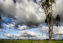 开云体育平台APP-凯恩破门难救主！拜仁赢球出线却坠入欧冠死亡半区