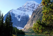 开云体育平台APP-凯恩破门难救主！拜仁赢球出线却坠入欧冠死亡半区