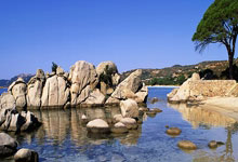 开云体育登录-绿鹰展翅碎金甲！国安逆转终结恒大王朝的不败神话