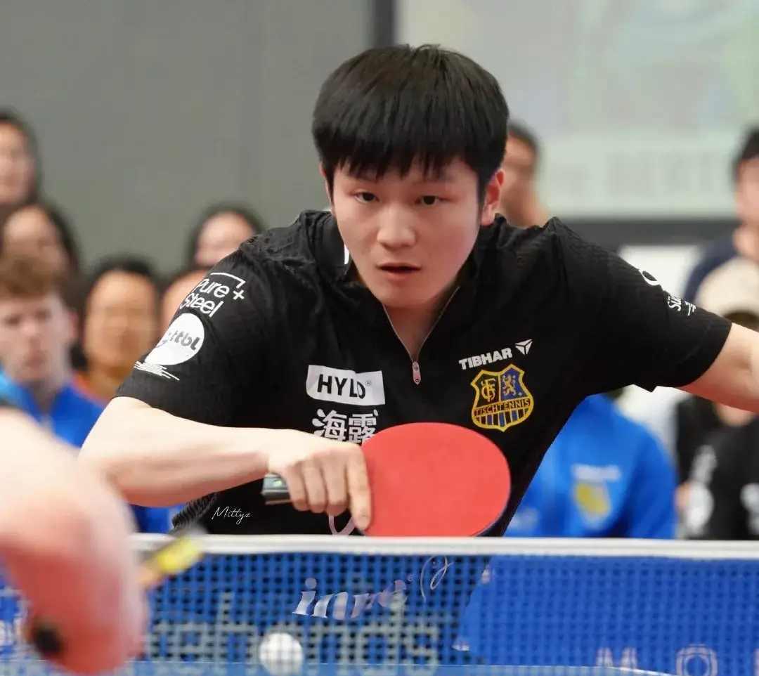 开云体育平台APP-瑞典乒乓球队鏖战日本乒乓球队，樊振东统治全场的简单介绍