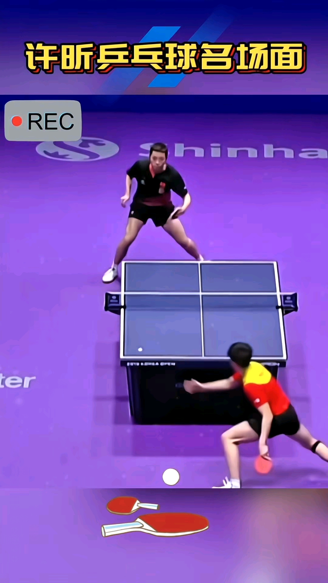 开云体育入口-关于波兰乒乓球队横扫韩国乒乓球队，许昕关键制胜的信息