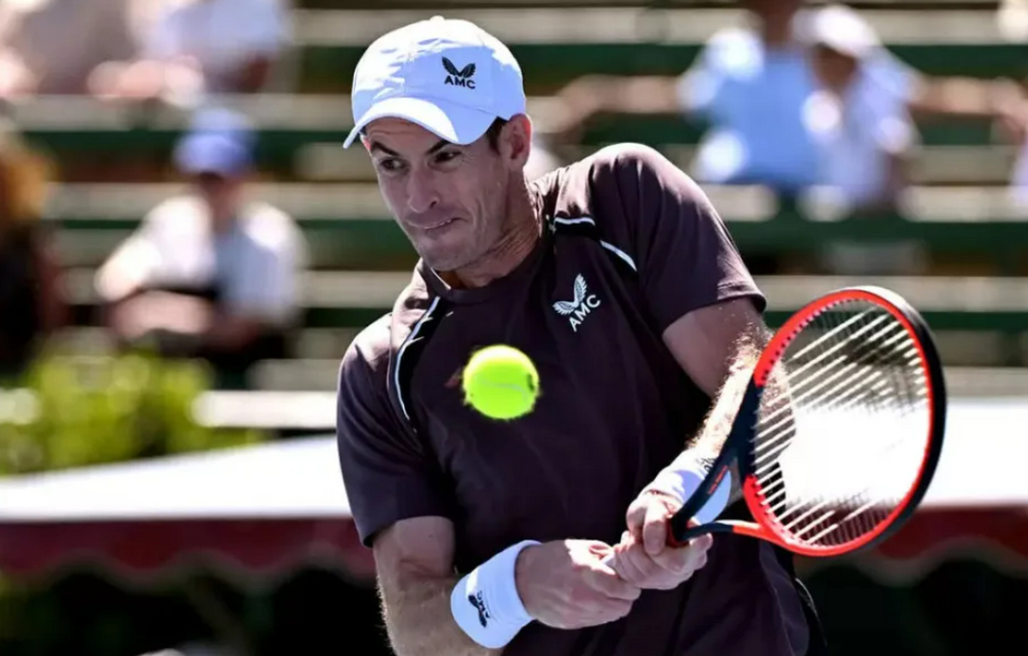 开云体育APP下载-法网翻盘戴维斯杯，穆雷惊艳四座