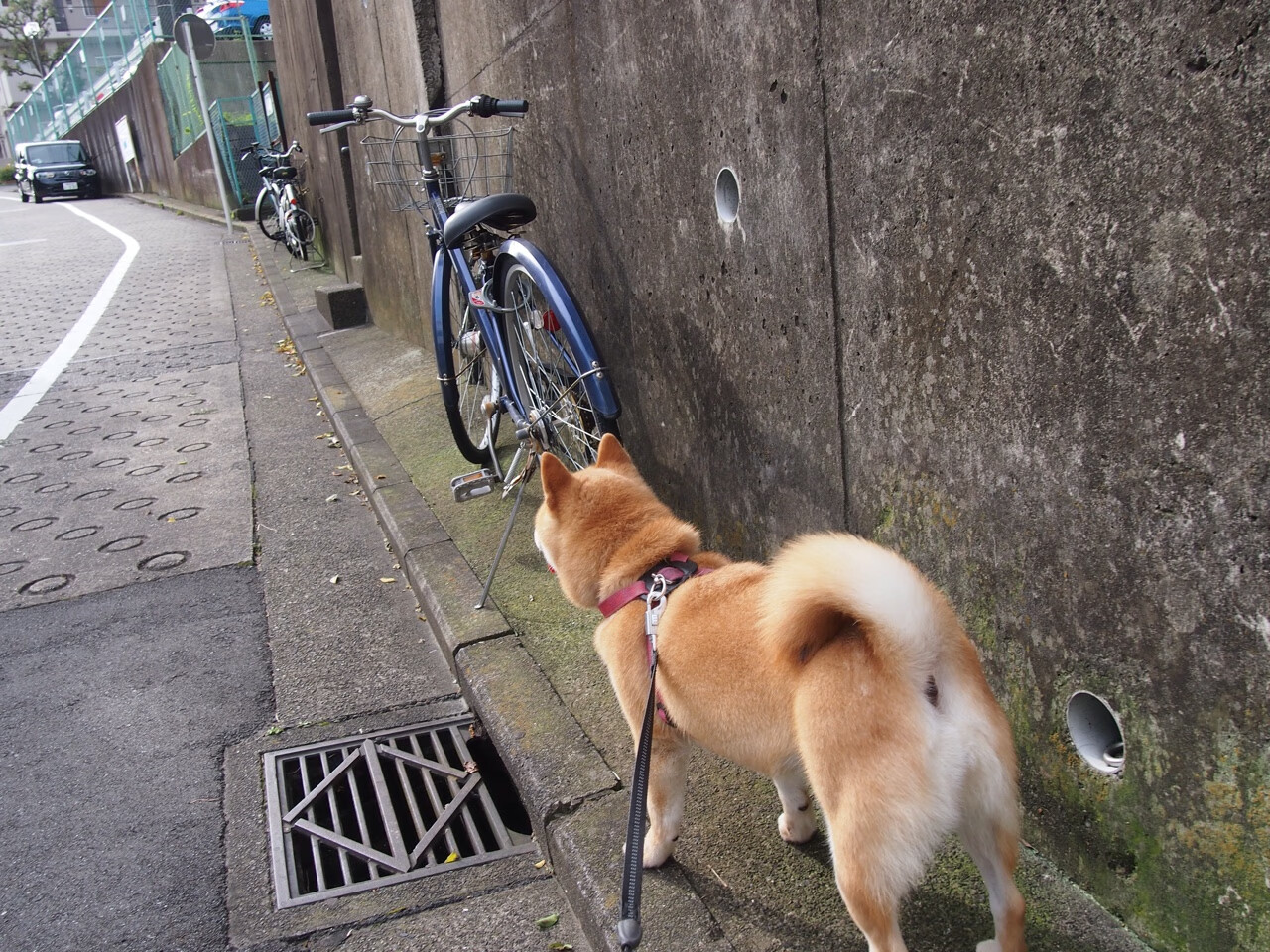 开云体育中国-米切尔，英超争冠之夜的攻防统治者