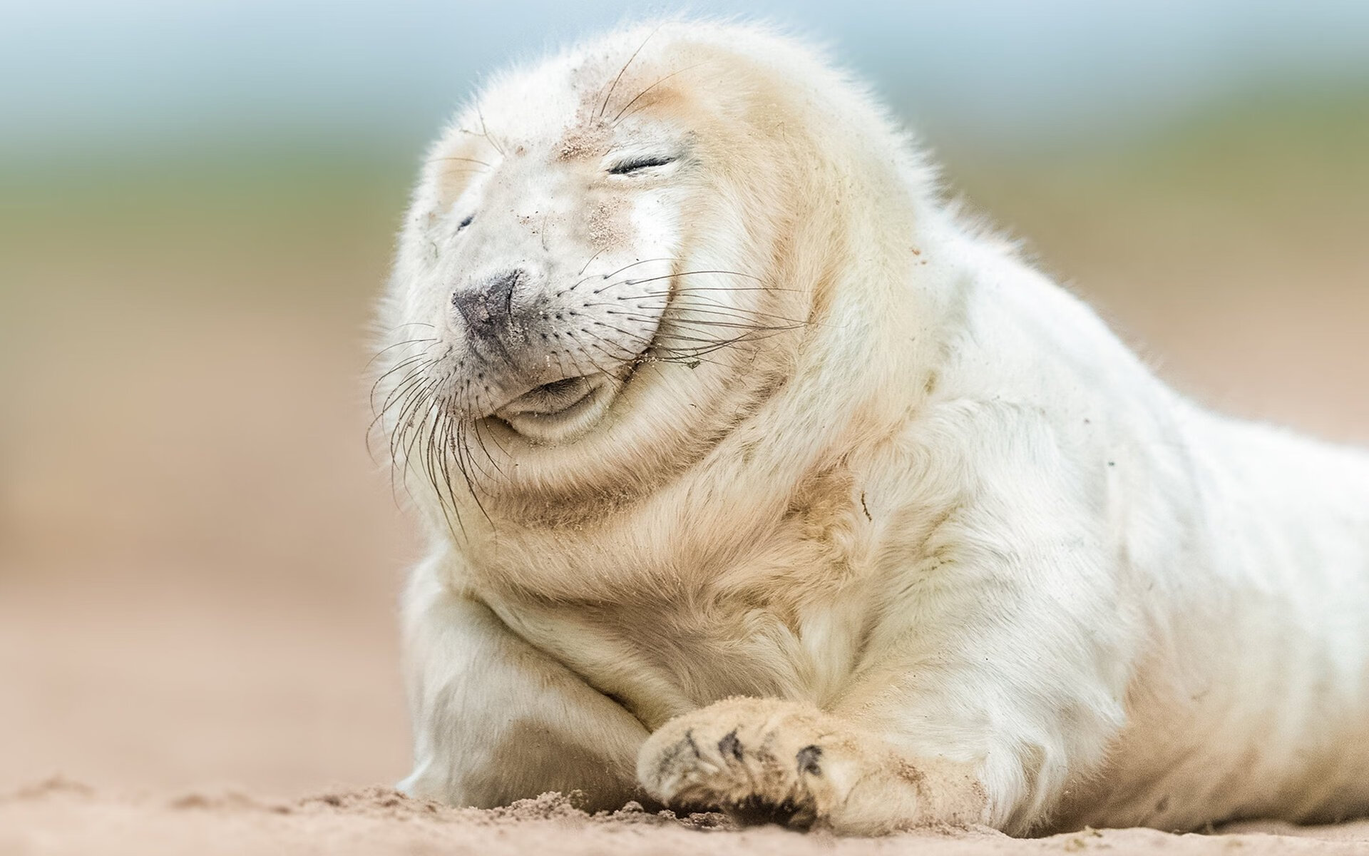 体育跨界日，浙江队擒下公牛，德罗赞F1首秀称王