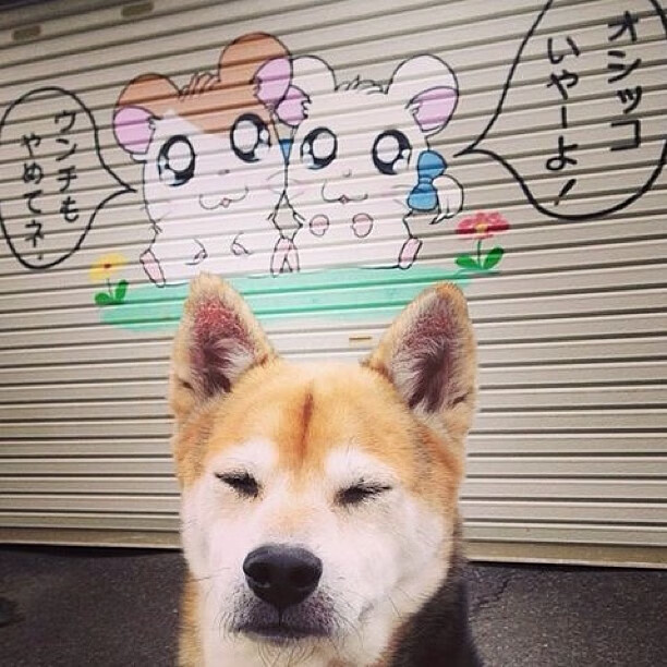 东方试炼夜，克莱关键三分焚海，热火鏖战力擒上海