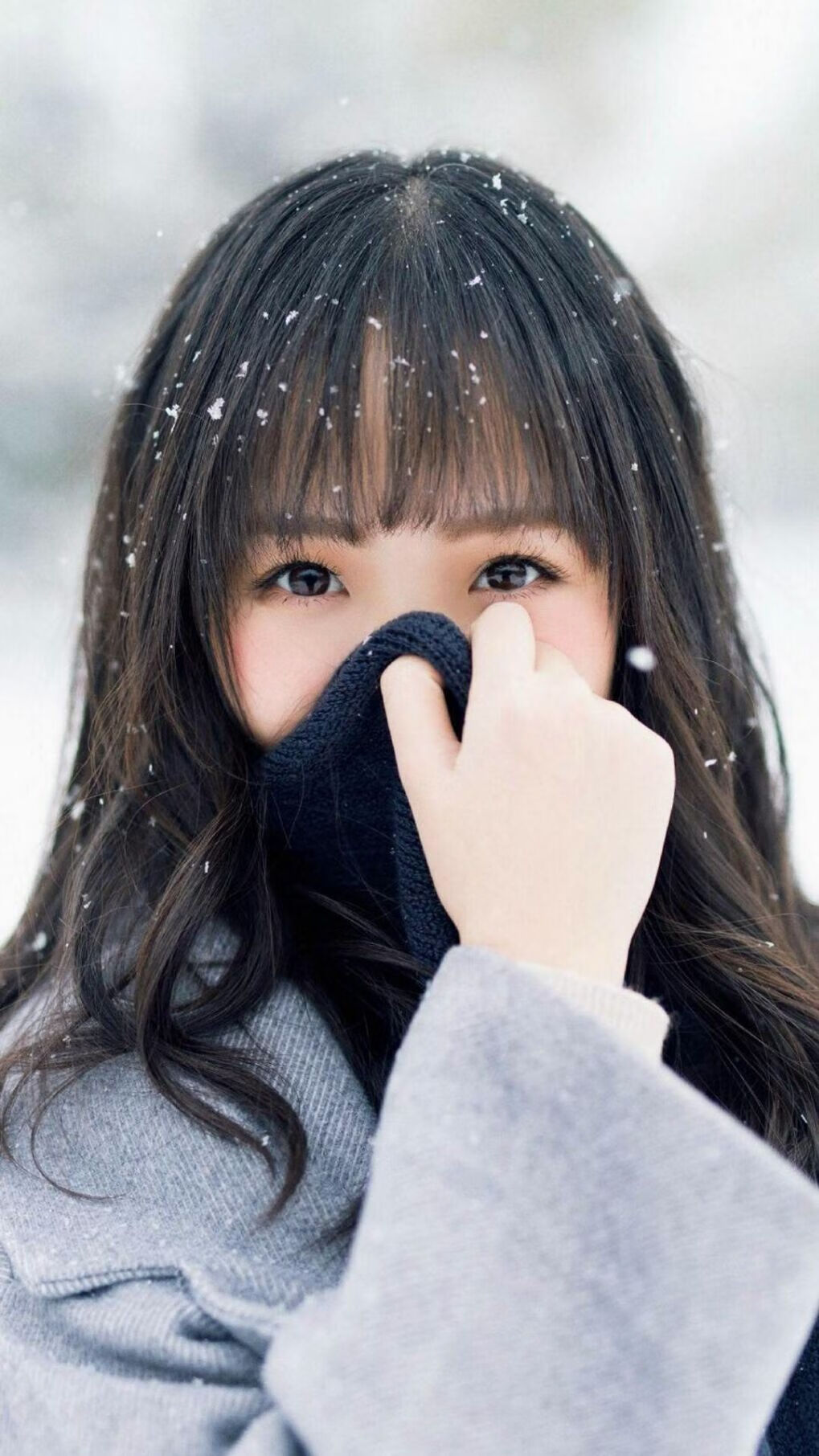 冰锥划破夜空，2026世界杯之夜，范弗利特的沉默审判