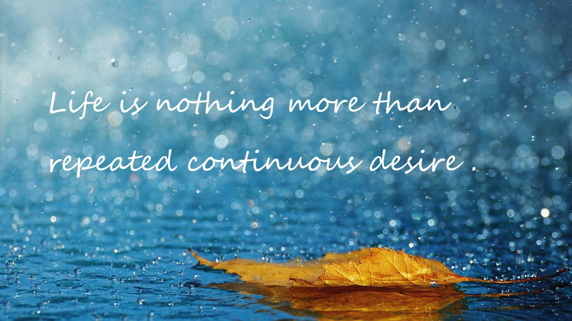 钢骨与交响乐，布克如何用制胜表现为凯尔特人谱下硬仗乐章