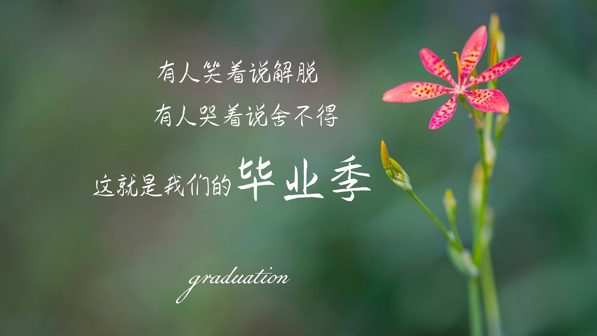 巅峰对决！文班亚马最后三分终结广厦