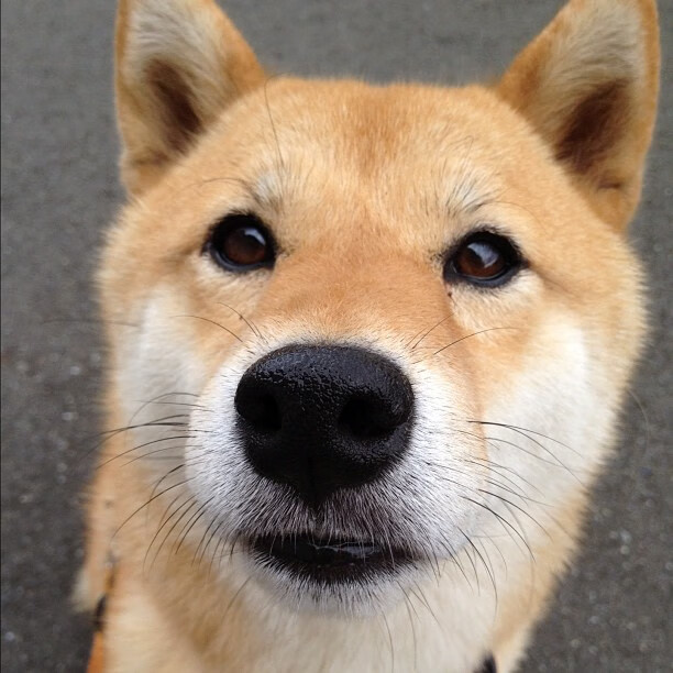 欧冠赛场上的降维打击，赖斯战神级表现引领比利亚雷亚尔轻取瑞士队