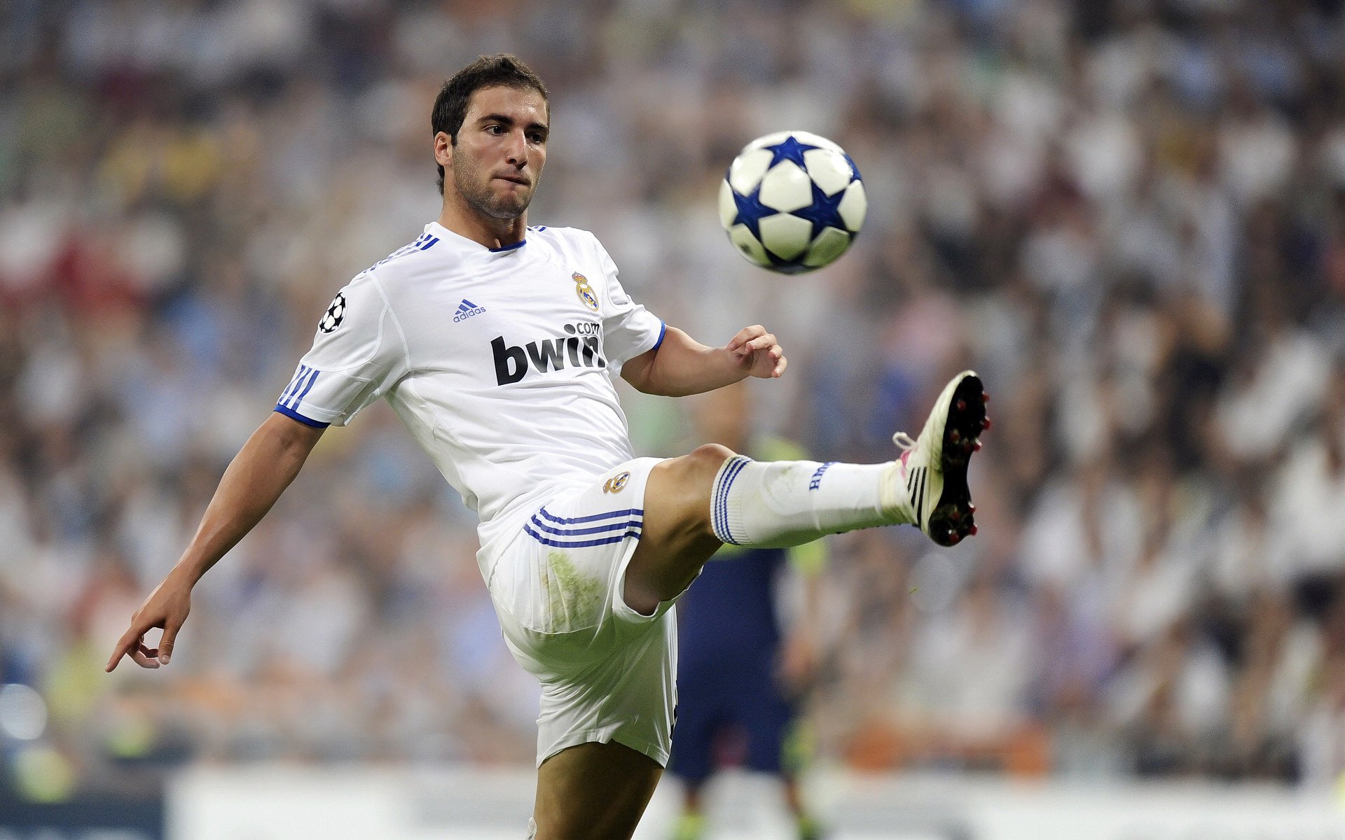 开云APP-丛林法则入侵梦剧场，小魔兽卢卡库如何用钢铁之躯重新定义中锋