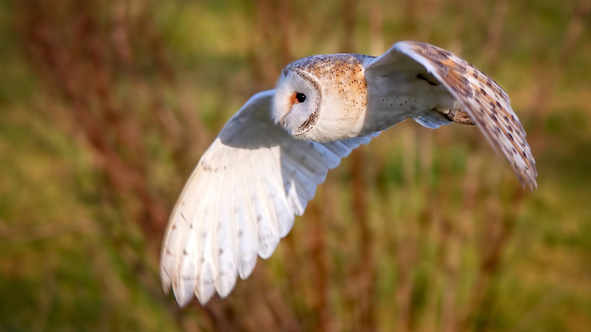 开云APP-双重奏，从纽约的铜墙铁壁到伦敦的致命尖刀