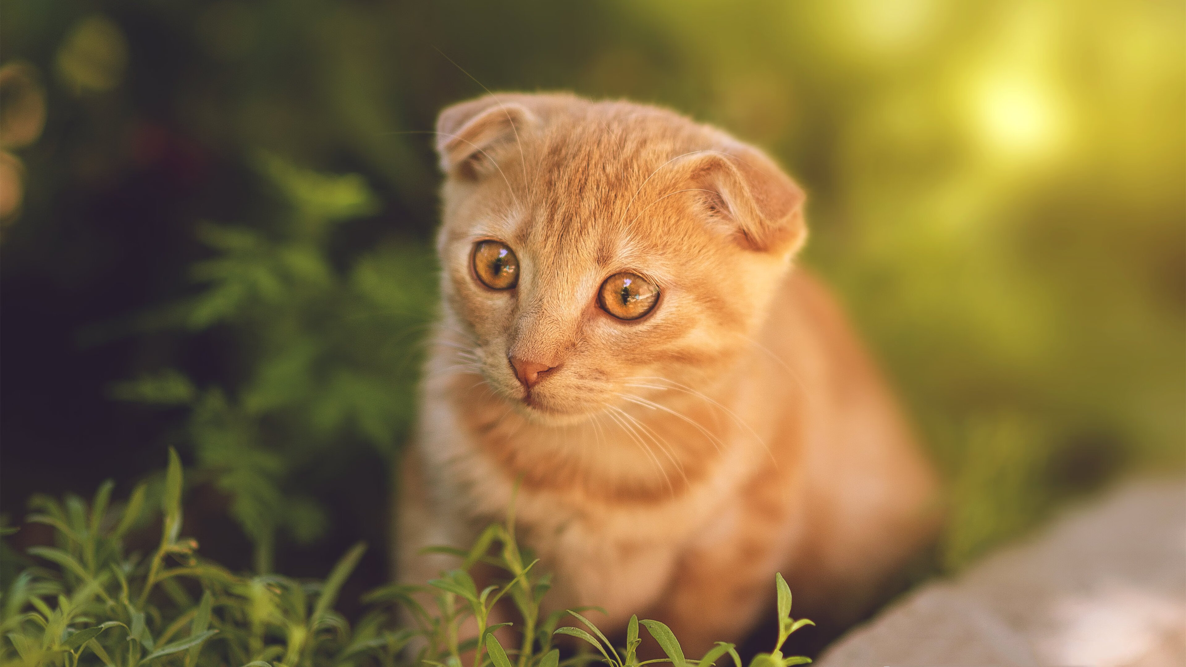 开云体育入口-西甲国家德比焦点战，皇马如太阳般灼烧，巴萨火箭升空受挫